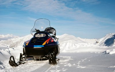 LES ALÉAS DE LA VIE