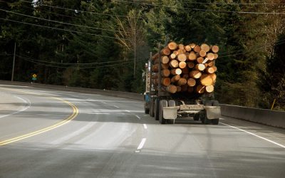 Un véhicule volé et recelé est retrouvé