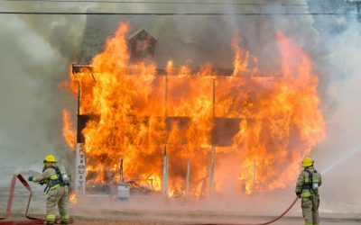 La faute intentionnelle